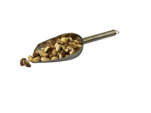 Brazil Nuts Bolivian