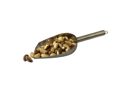 Brazil Nuts Bolivian