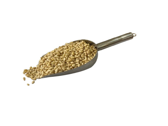 Κουκουνάρι Ψίχα