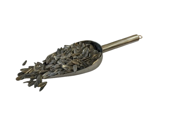 Ηλιόσπορος Ψημένος