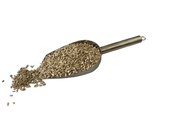 Ψίχα Ηλιόσπορου